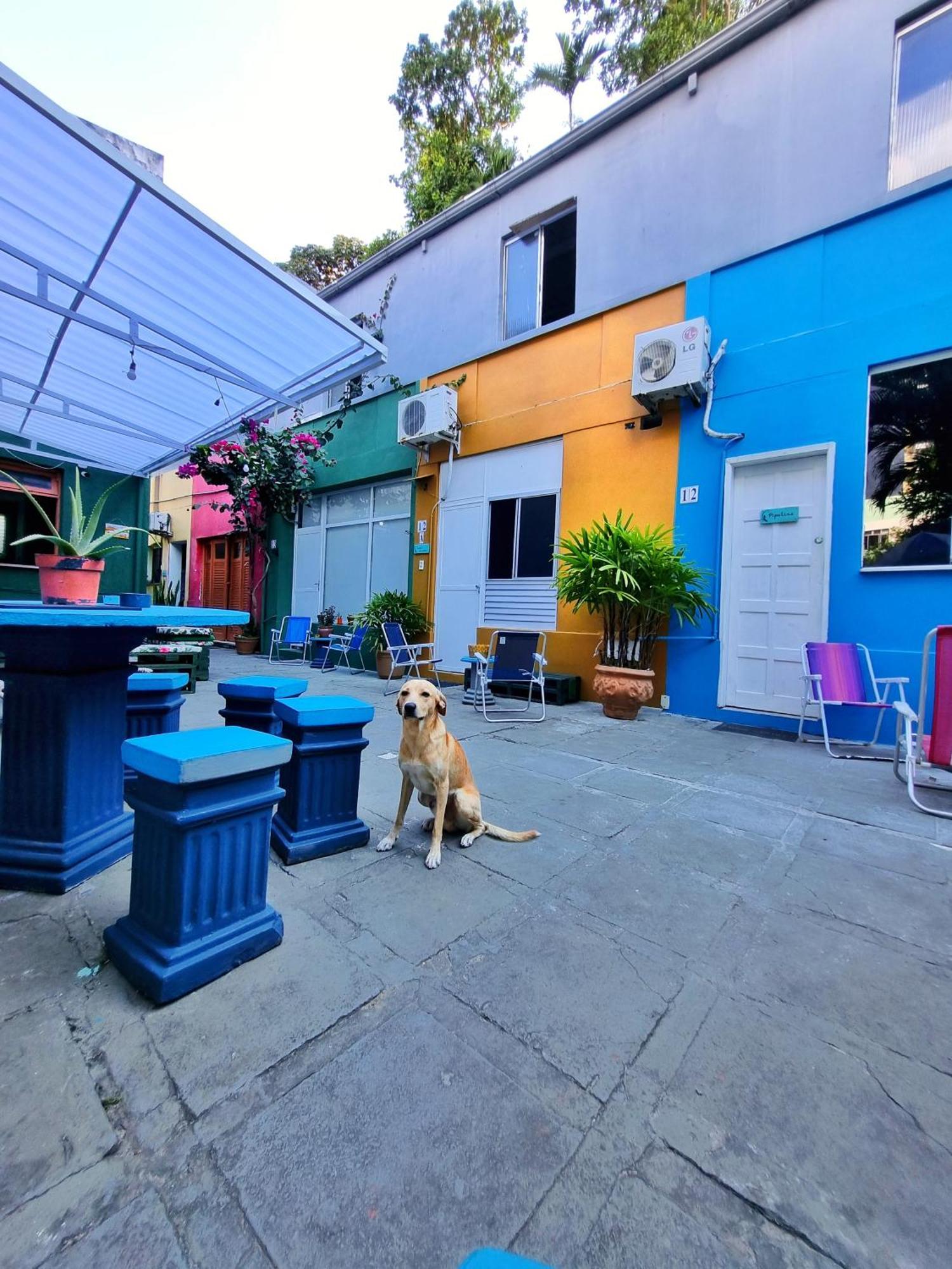 Nomads Hostel Multicultural & Coworking Salwador Zewnętrze zdjęcie