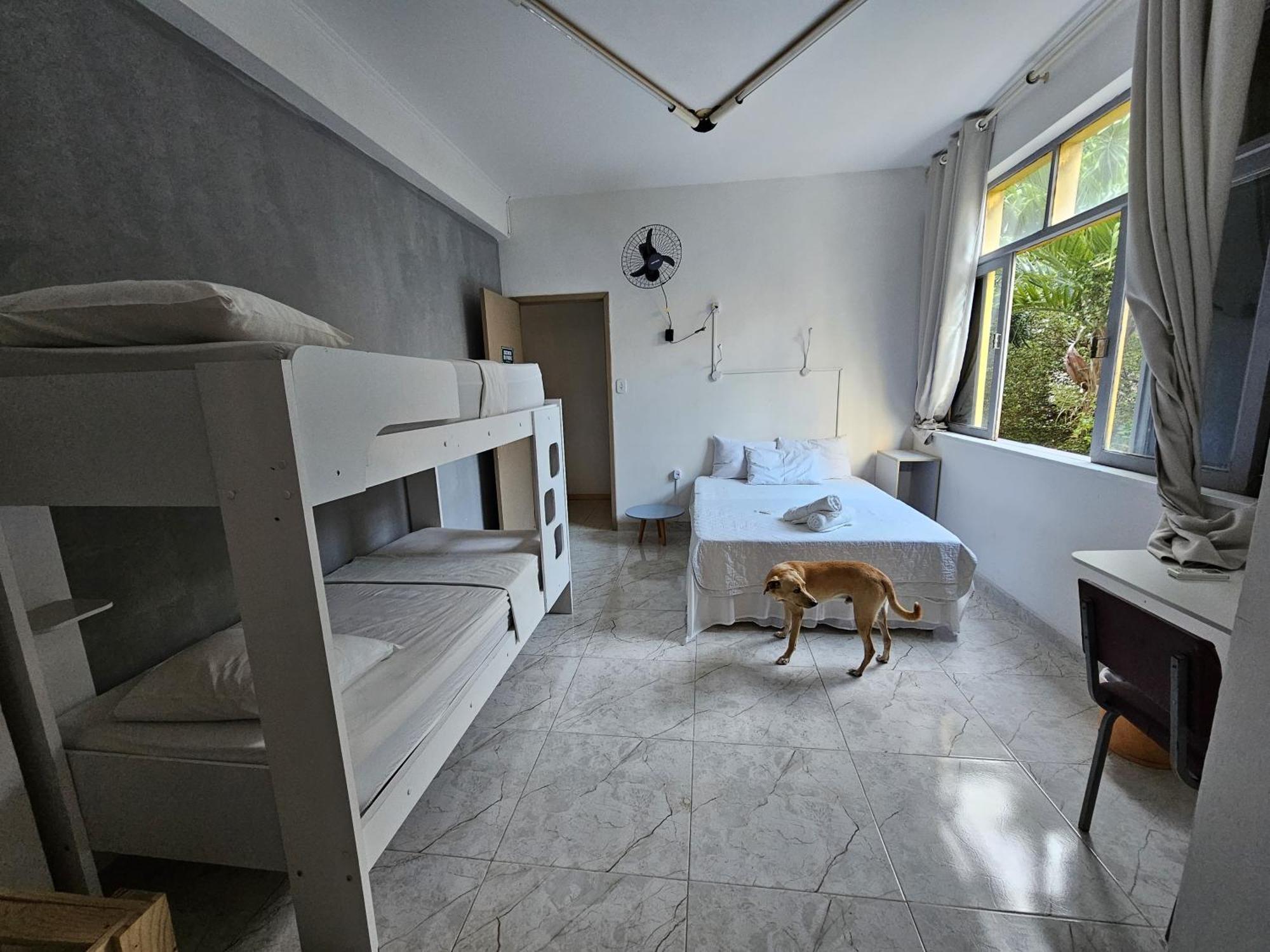 Nomads Hostel Multicultural & Coworking Salwador Zewnętrze zdjęcie